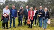Bid to save trees at John Connell Reserve in Leeming