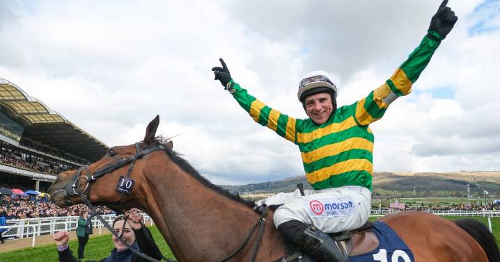 Harry Skelton gives key insight into Cheltenham hopefuls and The New Lion