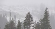October snowfall hits California's Northern Sierra at Donner Summit