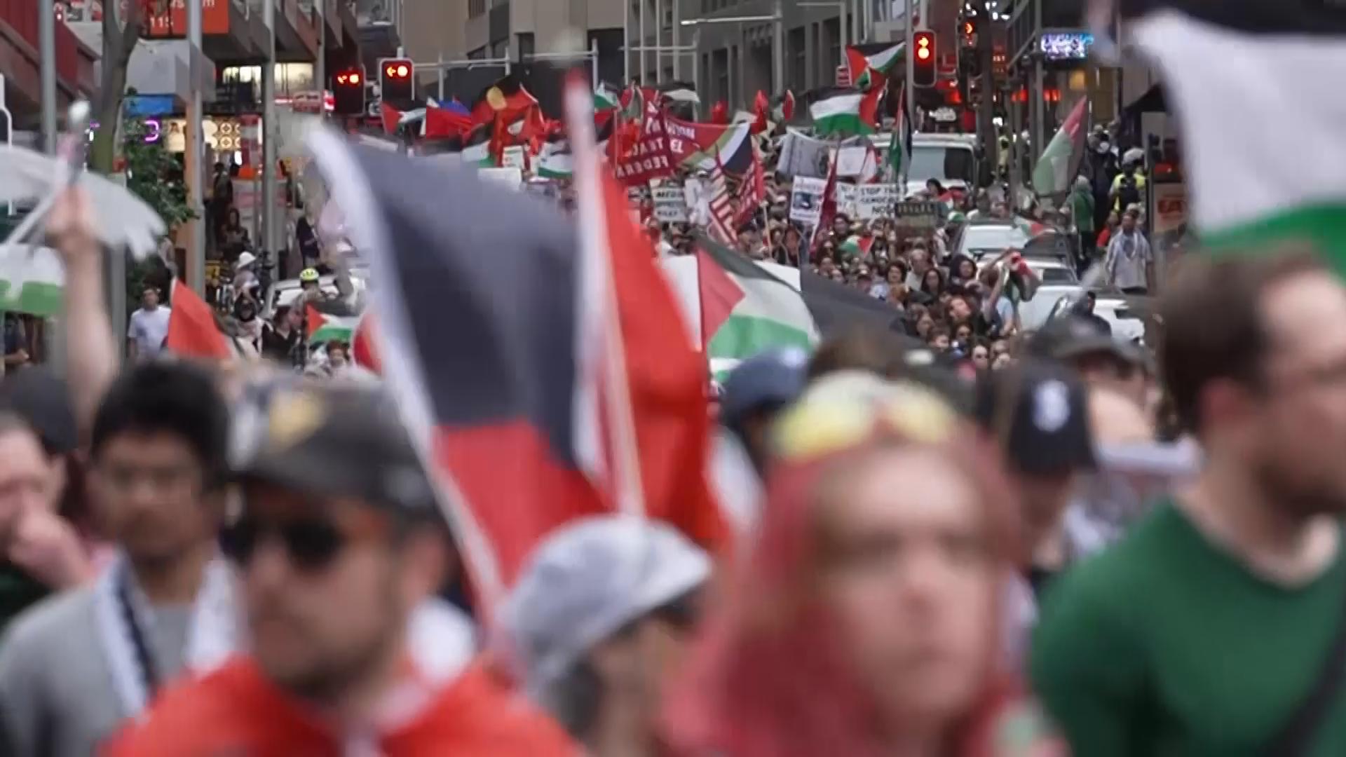 Rallies in support of Palestinians in Gaza take place across Australia