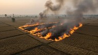 Punjab Partners with IISc Bengaluru to Produce Green Hydrogen from Paddy Straw, To Manage Stubble