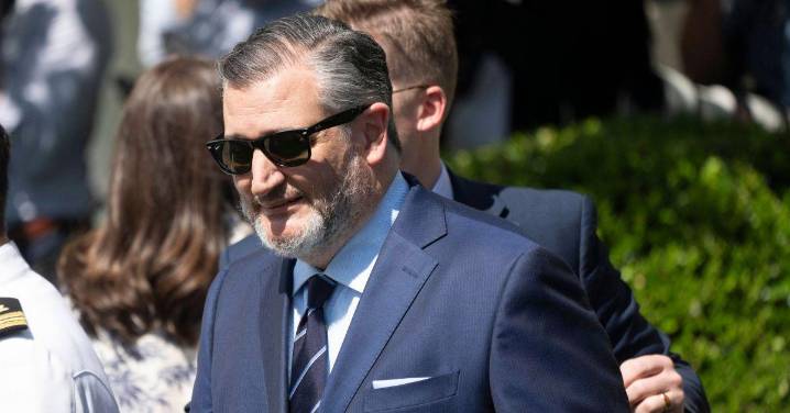 Ted Cruz Appeared to Say We Should "Stop Attacking Pedophiles" in a Hearing