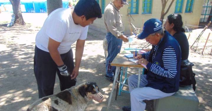 Cronograma semanal de Zoonosis municipal