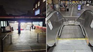 Crews rescue small dog trapped in escalator at MBTA station