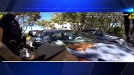 Woman finds 5-foot boa constrictor on hood of her car in Clearwater