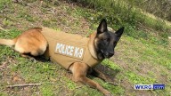 K9 Harko retires from Bay Minette Police Department