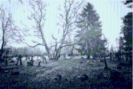 13 Haunted Places in Middle Tennessee