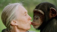 Jane Goodall, conservationist renowned for chimpanzee research and environmental advocacy, has died