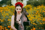 El Xoloitzcuintle, el perro que es el símbolo ancestral del Día de Muertos