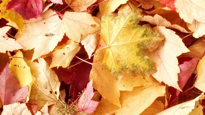 The Foundry to host Thanks-Gathering event