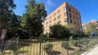 U.S. citizens temporarily detained in South Shore immigration operation