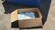 Woman In Texas Discovers Trembling Puppy Left Beside Box Of Toys And Gives Her Hope