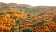 El Valle del Ambroz vuelve a vestirse con los colores del Otoño Mágico More