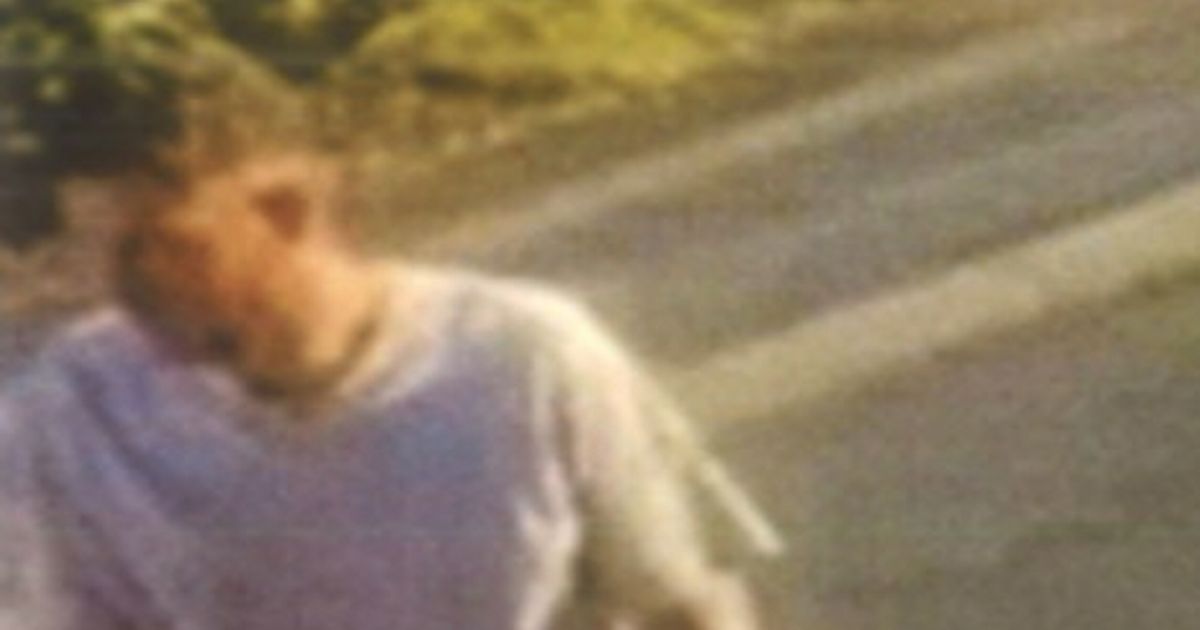 Woman crashes car after man 'leant through window' to assault her