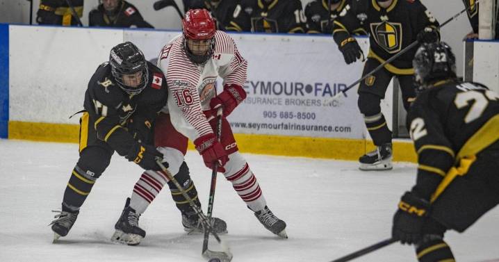 Hockey ties strengthened: Junior-B becomes development league for OHL