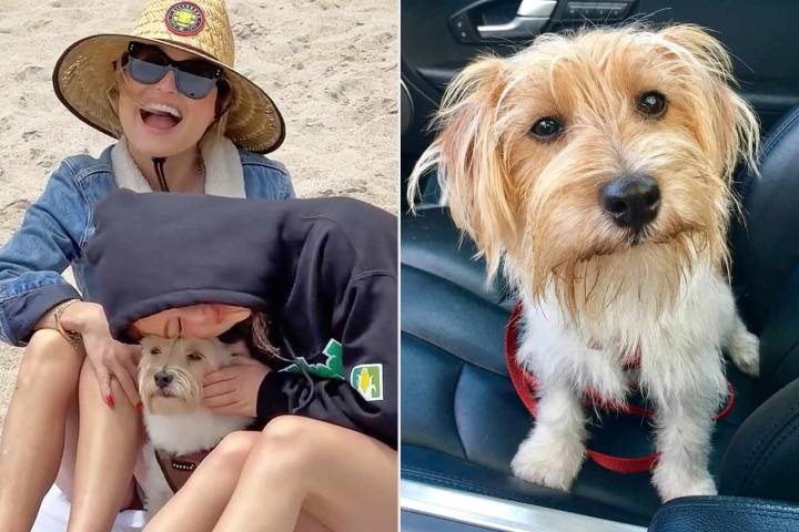 Giada De Laurentiis Celebrates '9 Perfect Years' with Beloved Dog