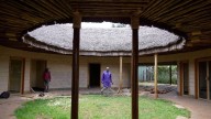 A mushroom farm in Kenya and fungi-based panels give hope for sustainable building
