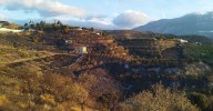 Controlado el incendio forestal declarado en Benamargosa