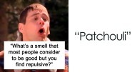“What’s A Smell That Most People Consider To Be Good But You Find Repulsive?” (23 Answers)