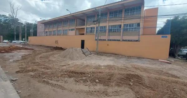 Árboles en colonia Burócratas cayeron, no fue tala: Ayuntamiento