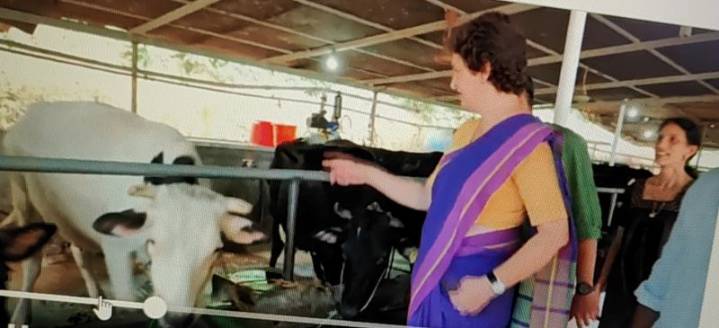 When Priyanka Gandhi Met ‘Alia Bhatt’ At Dairy Farm In Kerala!