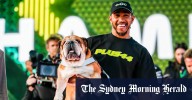Lewis Hamilton dog death: F1 world mourns passing of bulldog Roscoe