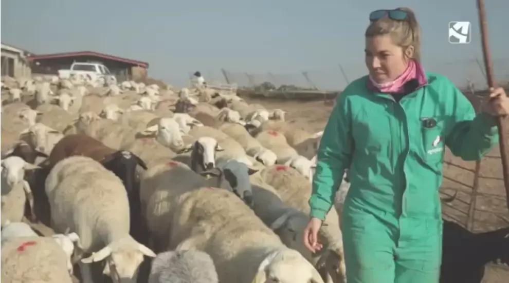 Un programa de Aragón TV pone el acento rural en los Premios Ondas 2025