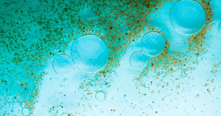 Resucitan microbios atrapados hasta 40.000 años en suelos congelados