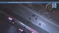 L.A. pursuit suspect fatally struck by vehicles on 110 Freeway