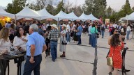 Disfrutan juarenses del Wine Fest en El Chamizal