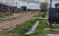 Más de la mitad de los niños de barrios vulnerables de La Plata se ven afectados por parásitos intestinales