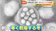 La epidemia de gripe en Japón alerta a Europa: miles de casos y un un centenar de colegios cerrados