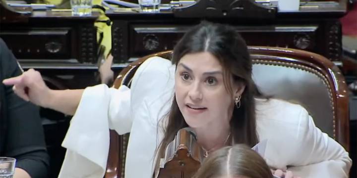 Marcela Pagano: “Espert hoy no puede ser diputado porque no tiene la autoridad que se necesita”