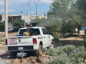 Ya entrado el otoño, continúa guerra contra mosquitos
