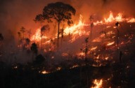 El 88 % de los colombianos reconoce que proteger los bosques es clave contra el cambio climático.