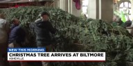 LIVE: Annual Christmas tree-raising at Biltmore House