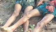 Tripura: Three Bangladeshi Cattle Lifters Killed In Clashes With Villagers