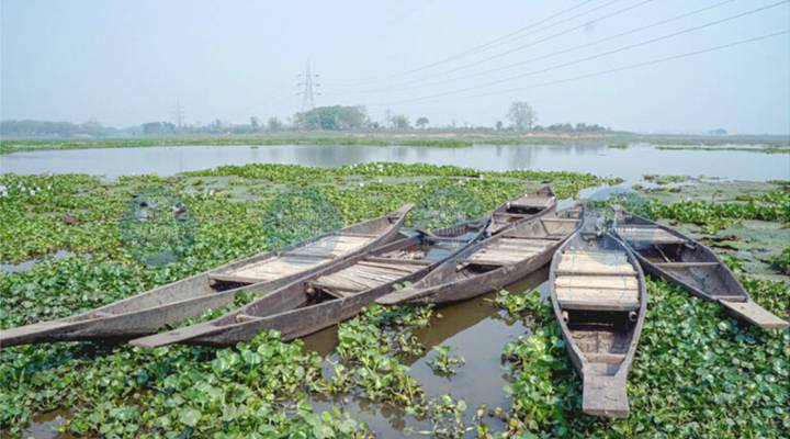 Centre sanctions Rs 692-cr for Assam’s wetland revival, Rs 1,270