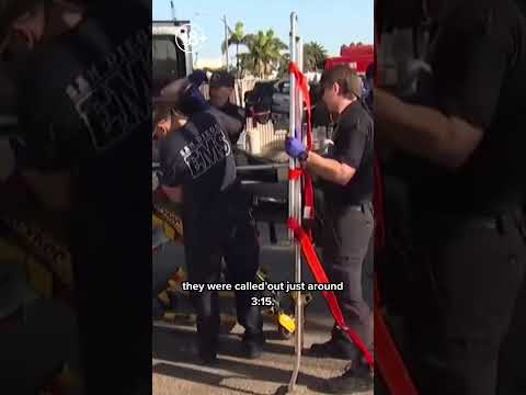 Crane collapses while picking up marlin weighing over 500 pounds, 2 injured