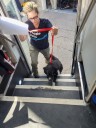 Albuquerque animal shelters take in puppies from Gallup