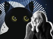 Noche de estrellas 2025 revela fecha, actividades y un homenaje a Julieta Ferro