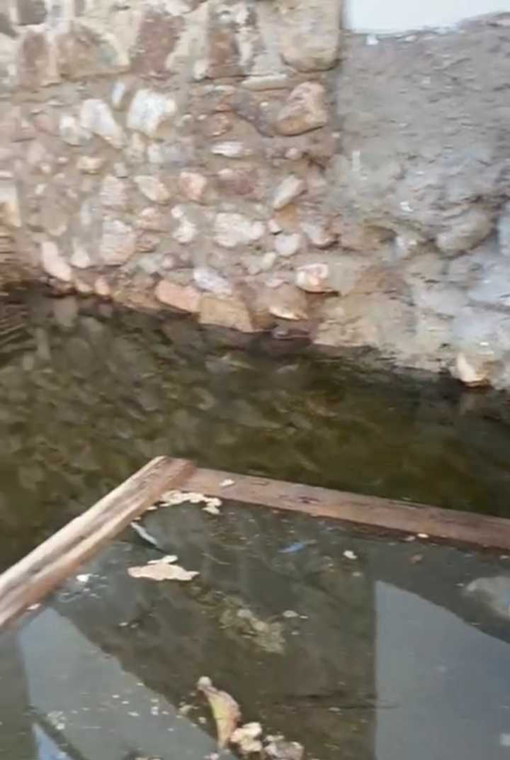 Riesgo en las Quintas por viejo parque infantil