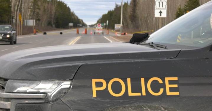 Armed suspect prompts OPP emergency alert in northern Ont.
