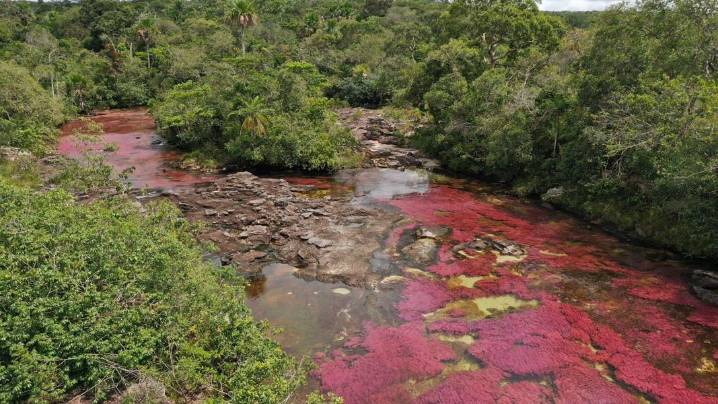 Más de 9 mil turistas han visitado Caño Cristales durante el 2023