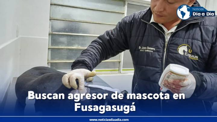 Continúa búsqueda de motociclista que atacó e hirió mascota en Fusagasugá