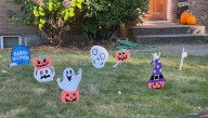 Skeletons 5 The softer side of Hillwood decorations