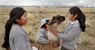 Photos celebrate the glory of girls on 'International Day of the Girl'