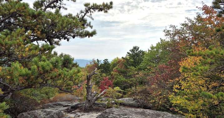 6 easy to moderate hikes to see fall foliage in the Catawba Valley and along the Blue Ridge
