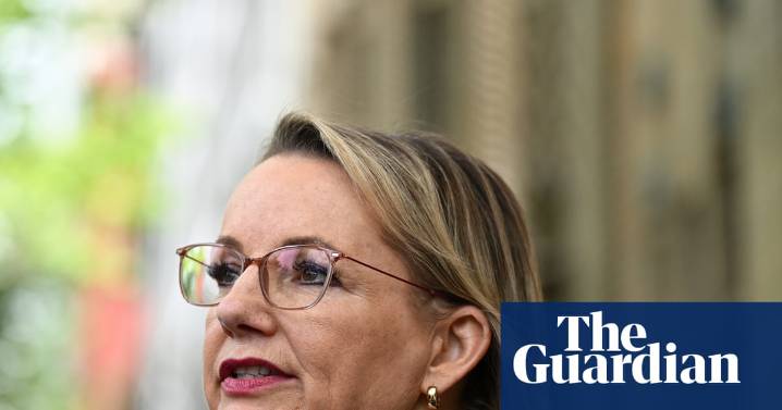 Coalition showdown on net zero looms amid speculation more MPs could quit over policy