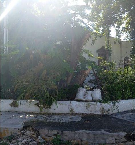 Pitbull agresivo y vecinos exigen control en la García Ginerés